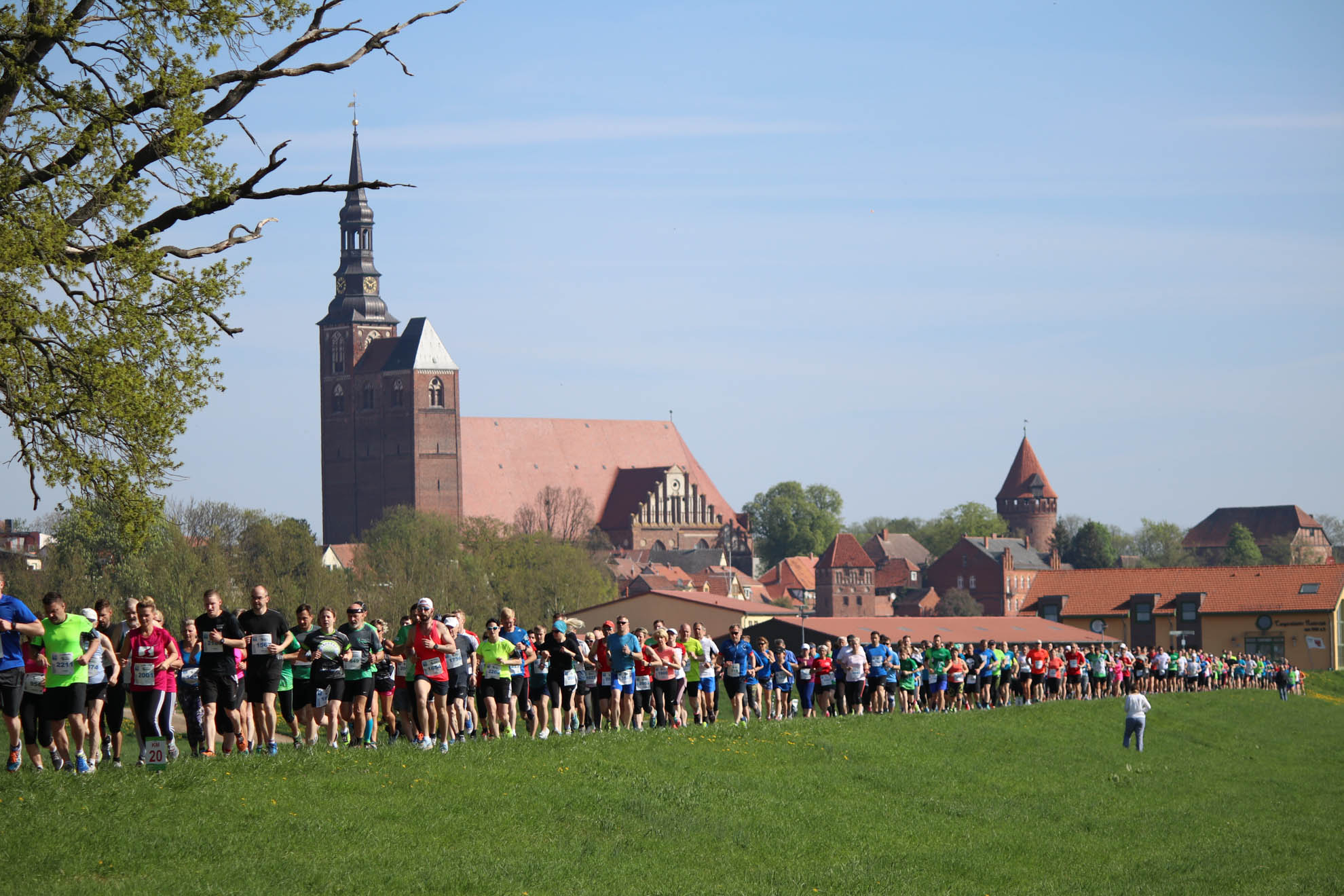 Elbdeichmarathon Copyright Tangermmünder Elbdeichmarathon